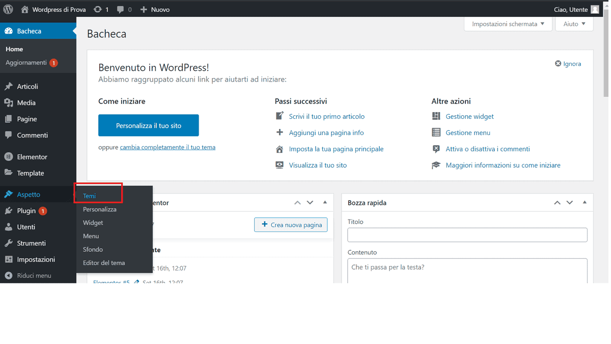 Installazione Tema Da Pannello Controllo