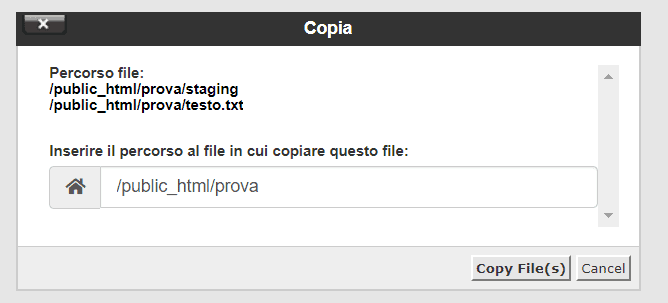Copia File