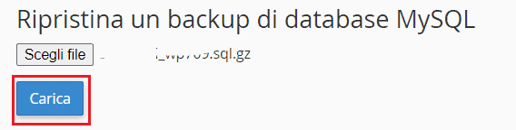 Carica Ripristino Backup Database