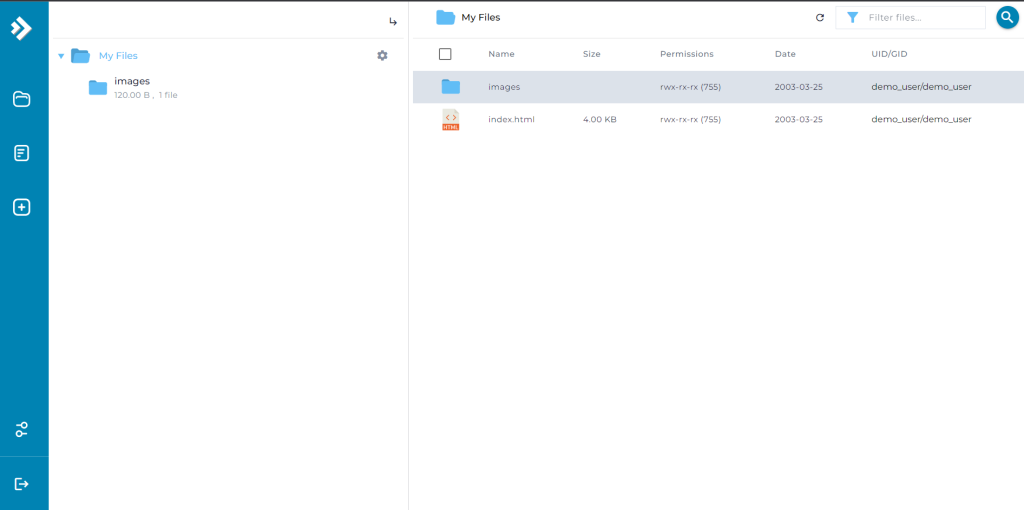 Directadmin File Manager