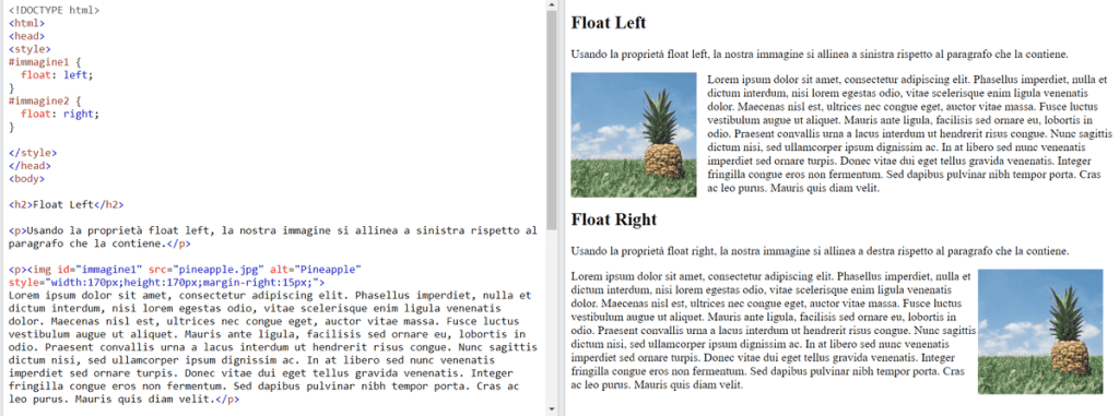 Esempi Di Float Left E Right
