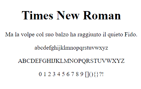 Esempio Font Web Safe Times New Roman