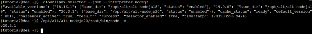 Trovare Il Path Di Nodejs