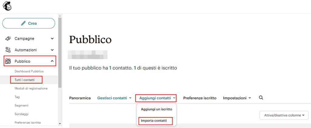 Importare Contatti Mailchimp