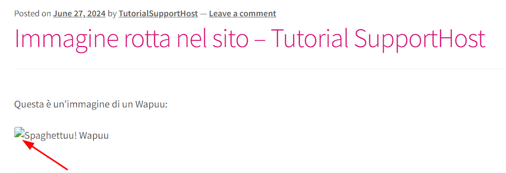 Esempio Immagine Rotta WordPress