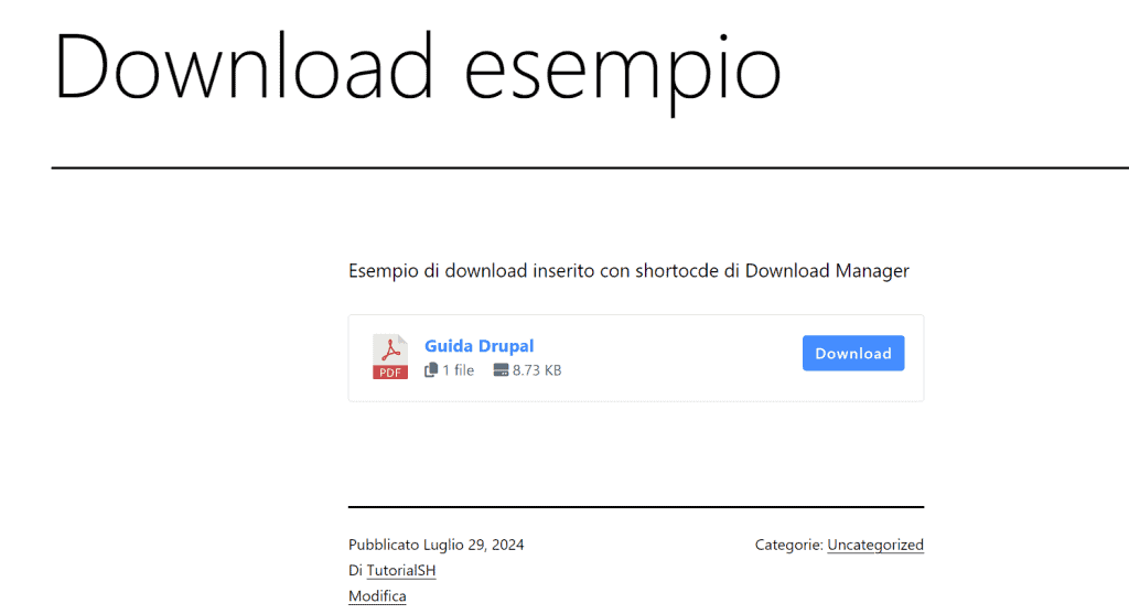 Shortcode Esempio Frontend Download Manager