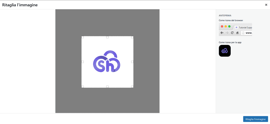 Ritagliare Favicon WordPress