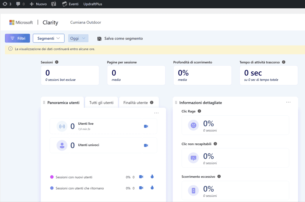 Backend Clarity Analytics WordPress