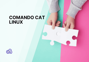 Come visualizzare e combinare i file con il comando cat su Linux