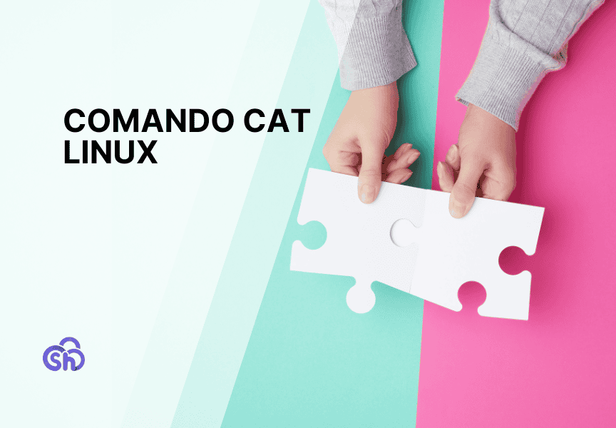 Comando Cat Linux Come Usare