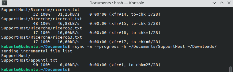 Seconda Sincronizzazione Con Rsync