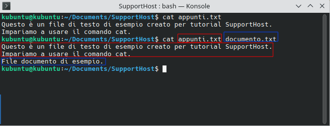 Usare Comando Cat Per Visualizzare Contenuto Di Piu File