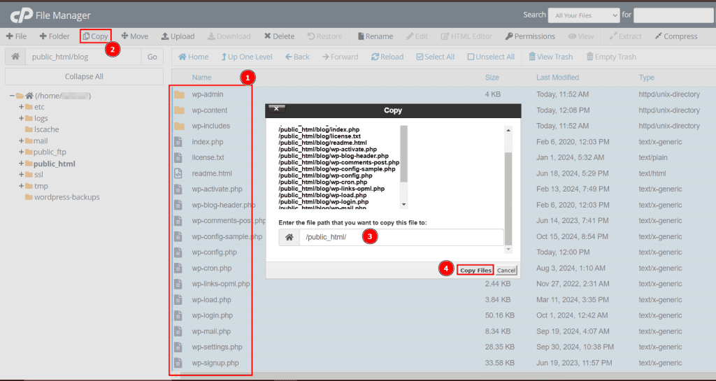 Copiare File Sito WordPress Da Sottocartella A Root