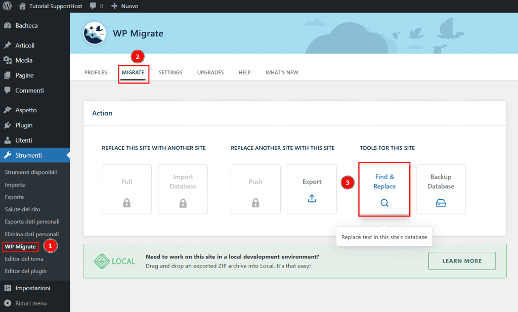 Usare Find Replace Wp Migrate Lite Per Aggiornare Database WordPress