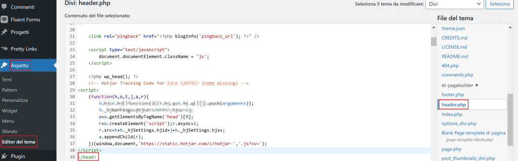Tag Su WordPress Hotjar