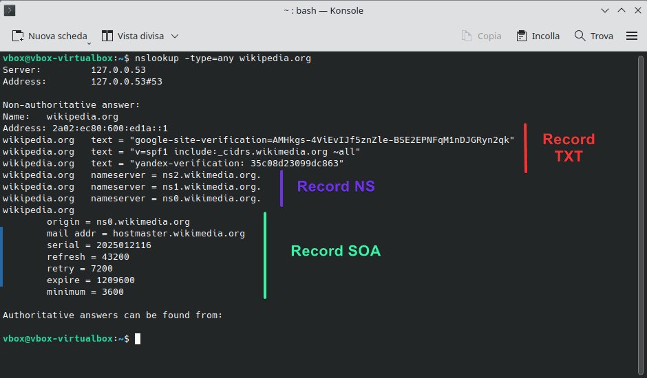 Nslookup Opzione Any Record