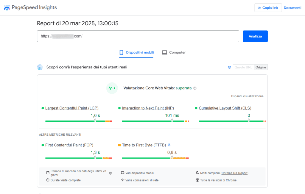 Pagespeed Insights Esperienza Utenti Reali