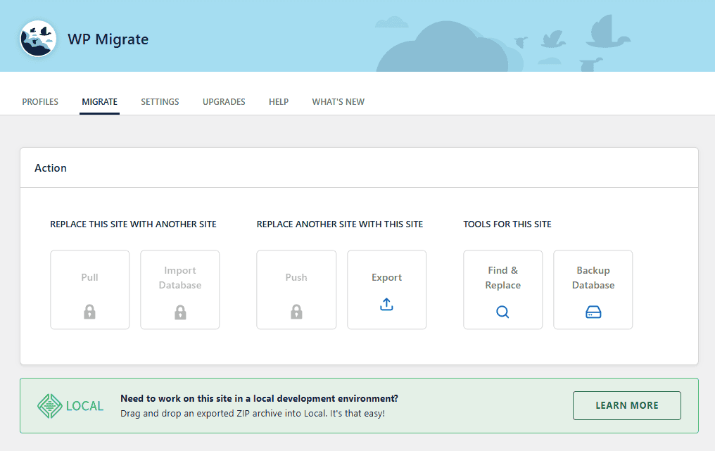 Wp Migrate Lite Migrate Action