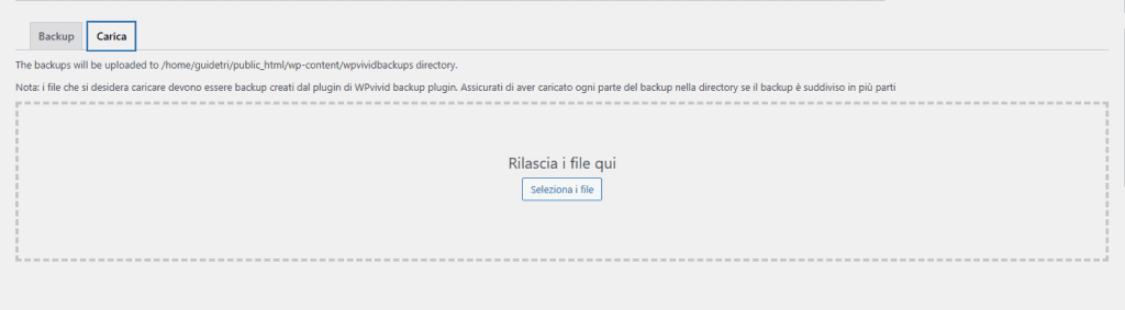 Wpvivid Importazione Caricamento File