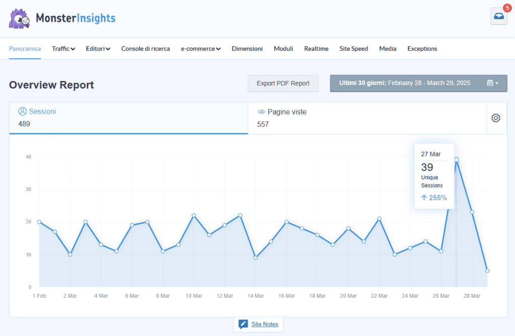Monsterinsights Overview Report