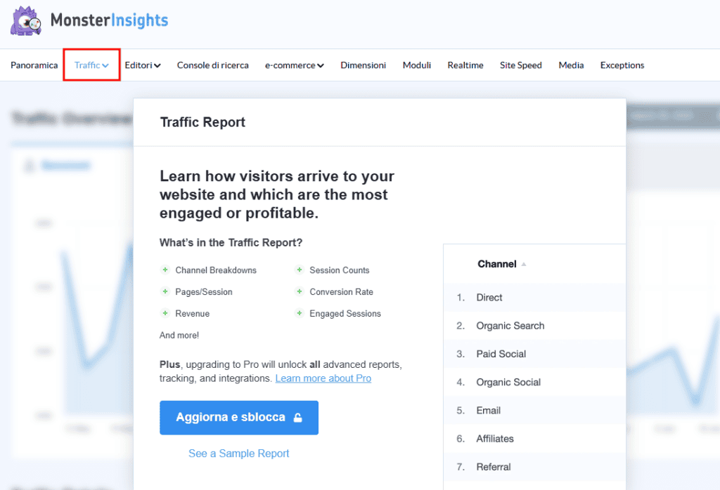 Monsterinsights Traffic Report Premium