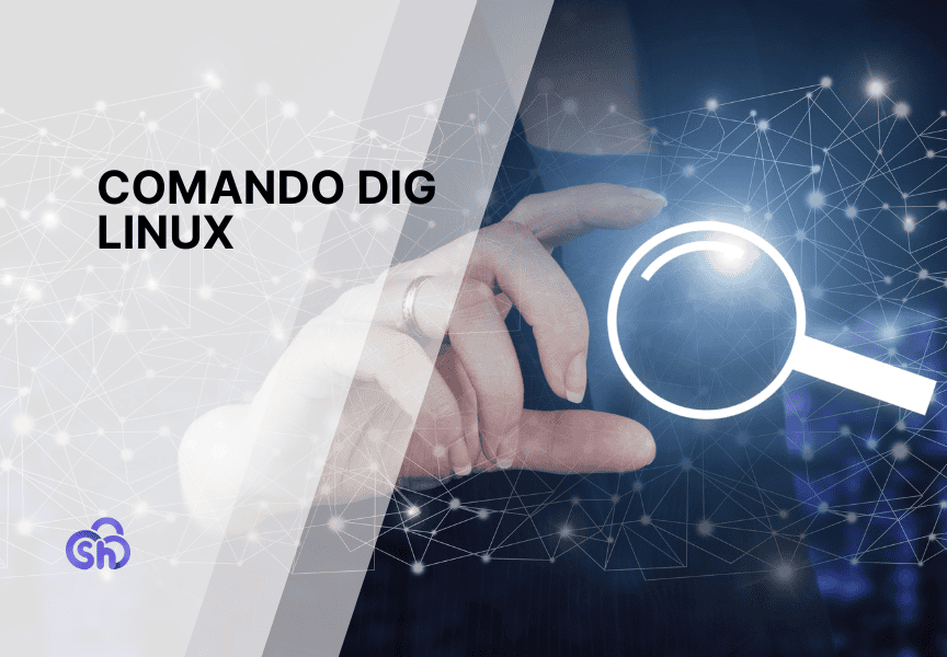 Comando Dig Linux Guida