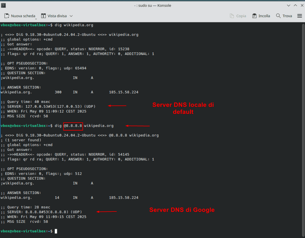 Comando Dig Specificare Dns