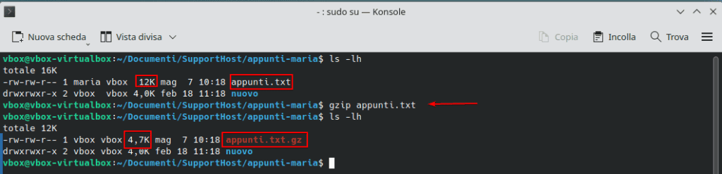 Comando Gzip Linux Compressione File