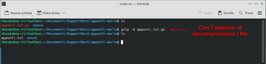 Comando Gzip Linux Decomprimere File
