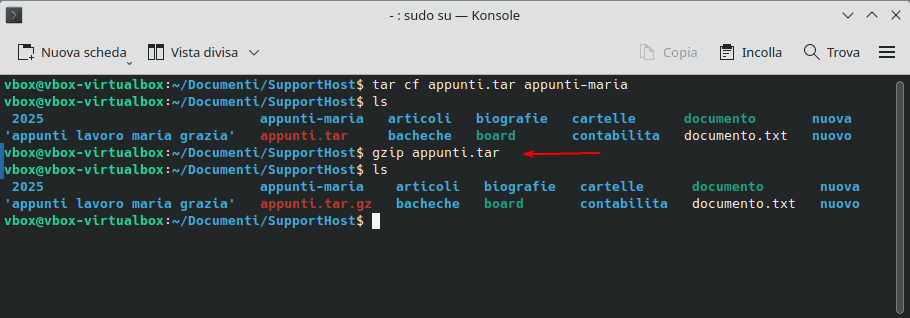 Comprimere Archivio Gzip