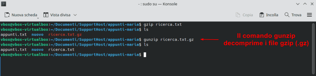Decomprimere File Con Gunzip