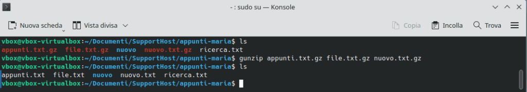Decomprimere Piu File Gunzip