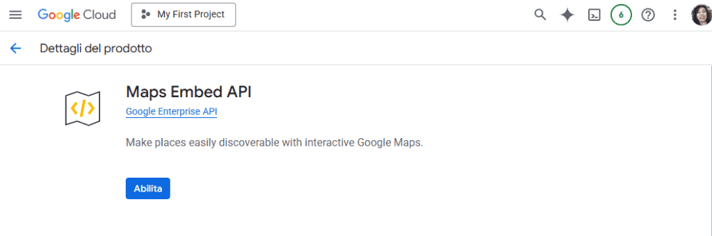 Embed Api Google Maps
