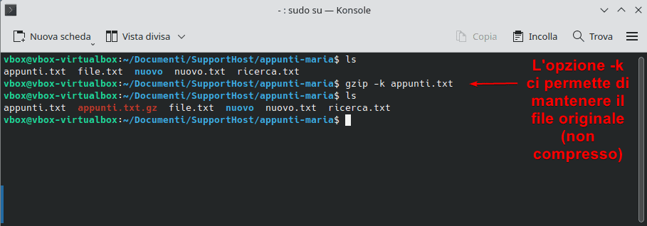 Gzip Comprimere File Mantenendo Originale
