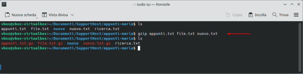 Gzip Comprimere Piu File