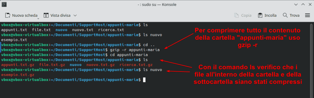 Gzip Comprimere Tutti File In Cartella