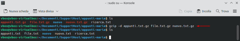 Gzip Decomprimere Piu File