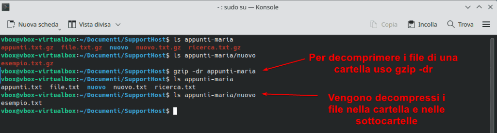 Gzip Decomprimere Tutti File In Cartella