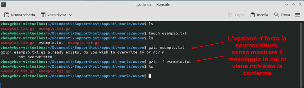 Gzip Opzione F
