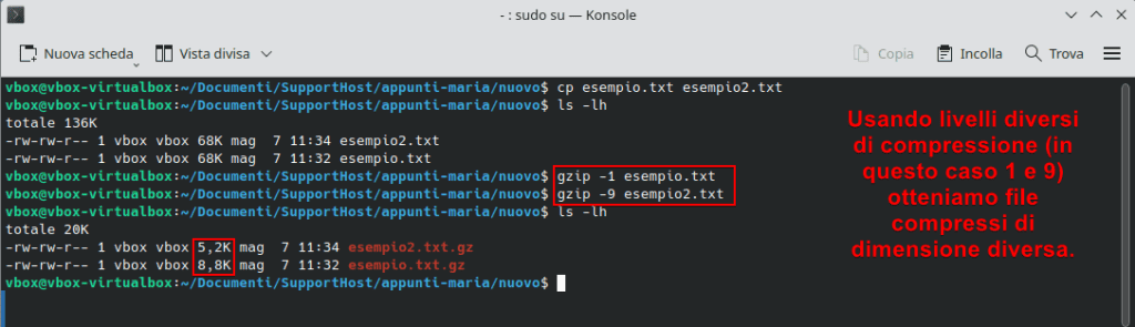 Impostare Livello Compressione Gzip