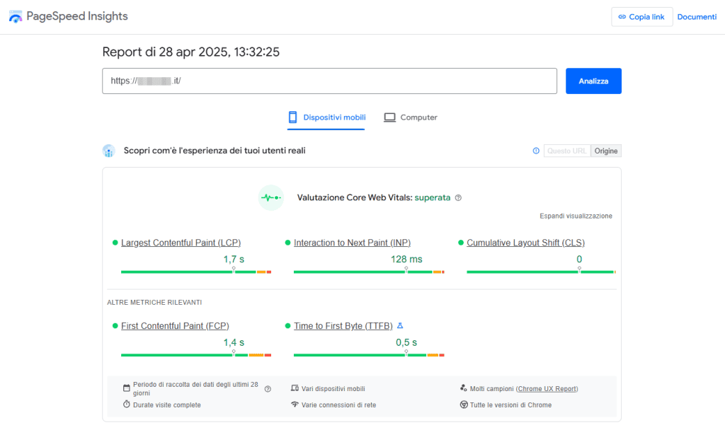 Pagespeed Insights Core Web Vitals