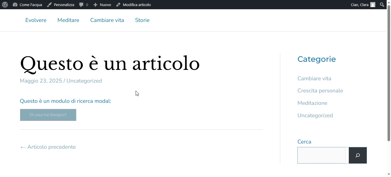 Searchwp Ricerca Modal