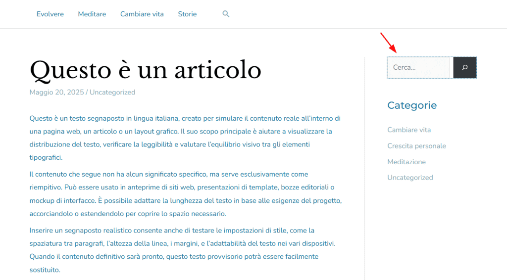 Sidebar Widget Ricerca WordPress