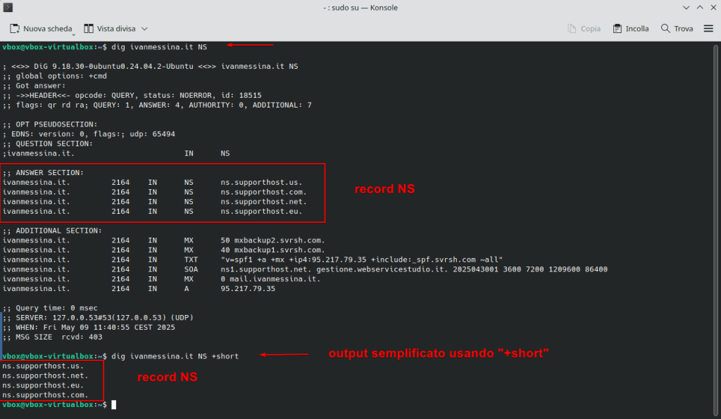 Verifica Record Ns Comando Dig Linux