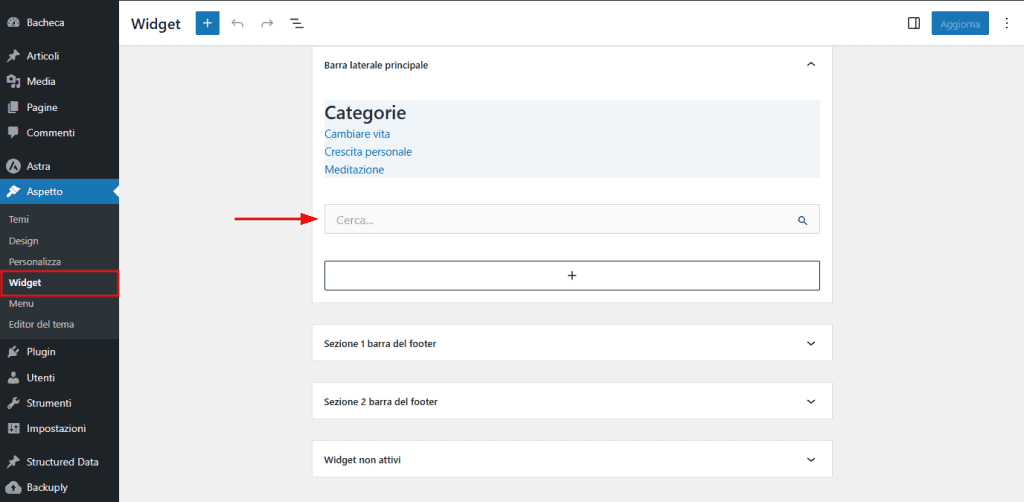 Widget Ricerca WordPress Barra Laterale