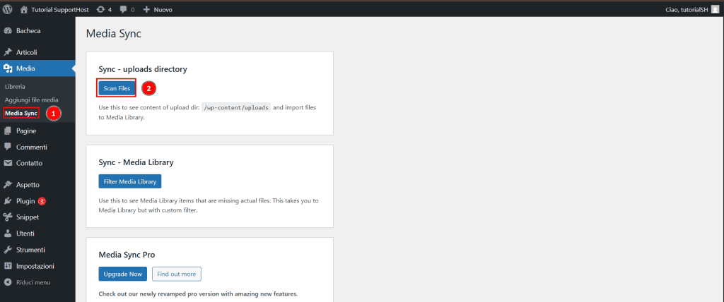 Avviare Scansione Plugin Media Sync