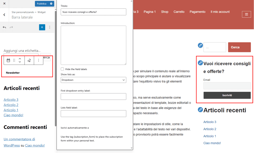 Configurazione Widget Sidebar The Newsletter