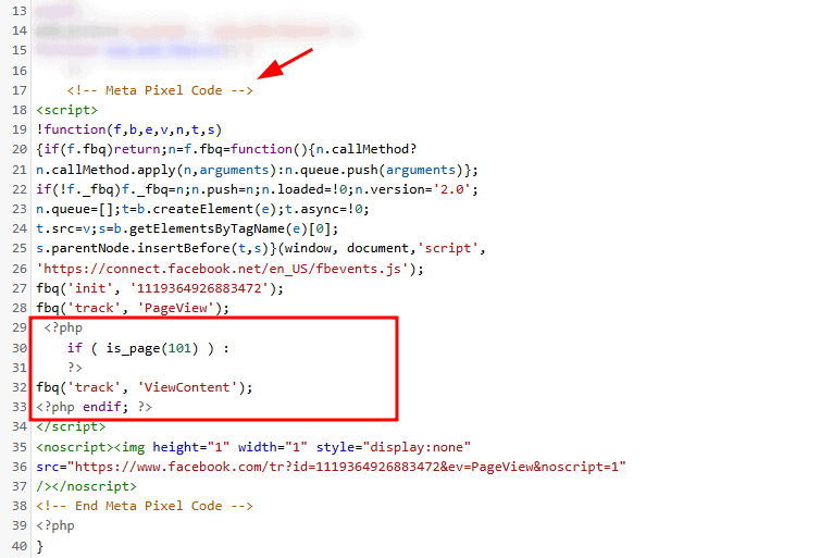 Inserimento Manuale Codice Evento Pixel Meta Wp