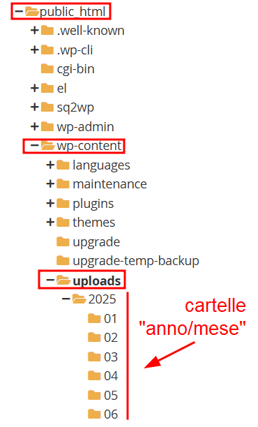 Organizzazione Cartelle Media WordPress