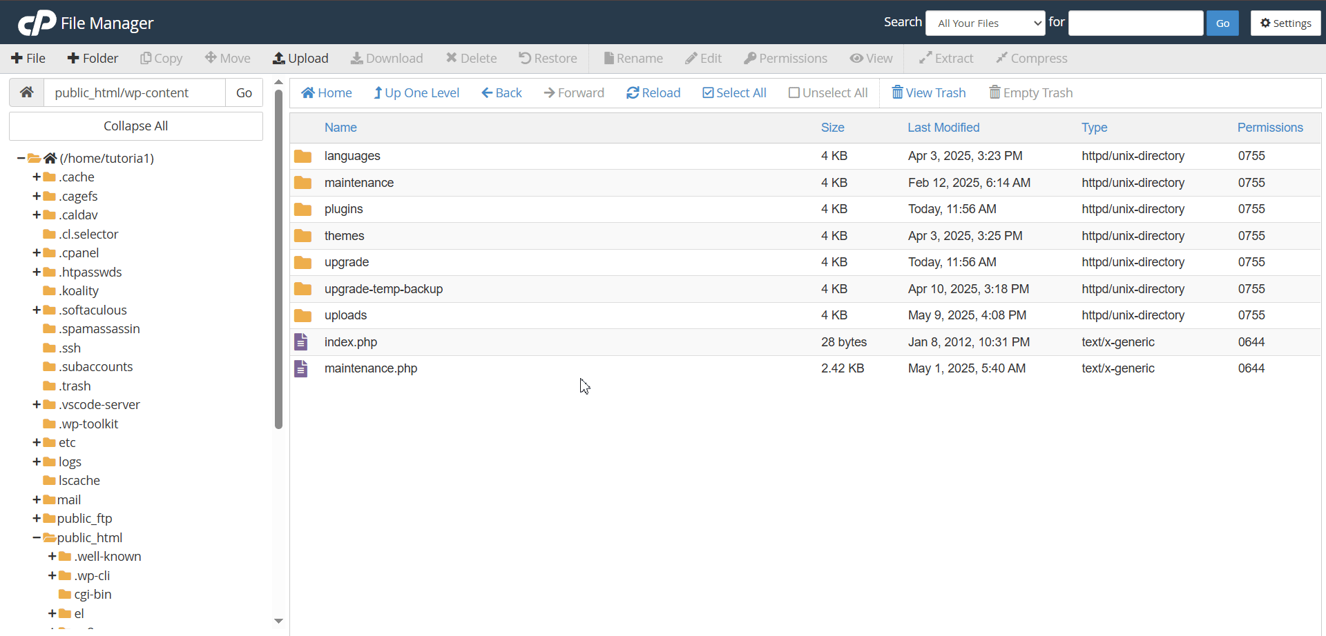 Scaricare Cartella Uploads WordPress File Manager